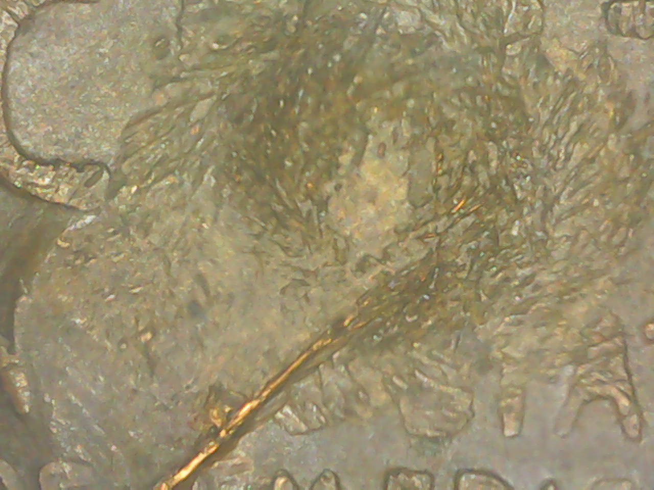 1954-Wheat-Penny-Error?